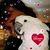 Kathryn Waters's profile image