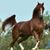 Diaz Guero Alberto's profile image
