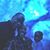 Yukita Davis Washington's profile image