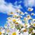 Marge M Etzcorn Varga's profile image