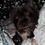 Marilyn Smith's profile image