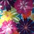 Rosemary Cervantes's profile image