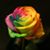Shannon Scott's profile image
