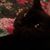 Ruth Saylor's profile image