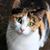 Jasmine Black's profile image