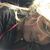 Nida Potts's profile image