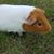 Erick Stillman's profile image