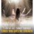 Jose Andrea Redz's profile image