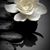 Kim Olsen's profile image