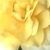 Lou Campos's profile image