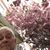 Lou Lupo's profile image