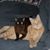 Jim Drewry's profile image