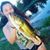 Alyssa Bee's profile image