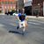 Kevin Kropp's profile image