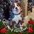 Valerie Belmont Saulino's profile image