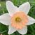 Tina Harkins's profile image