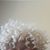 Opal Hardy's profile image