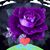 Dawn A. Scholtes's profile image