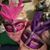 Kasey Cheatham Castillo's profile image