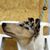Vickie VonSeggern's profile image