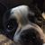 Jim Standley's profile image