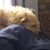 Teresa Dingus Auer's profile image