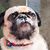 Trudy Macdonald's profile image