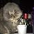 Gordon Peterson's profile image