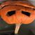 Timothy West's profile image