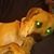Shawn Brown's profile image