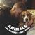 Nathan Trubilla's profile image