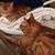 John Keiser's profile image