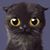Yuko Ichihara's profile image