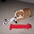 Cindy Heatherly's profile image