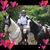 Sandi Johnson's profile image