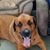 Susan Winters's profile image