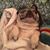 BJ Bielen's profile image
