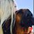 Mona Baughman's profile image