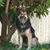Joseph Nunemacher's profile image
