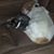 Edna Grisham's profile image