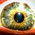 Jeff Eveleno's profile image