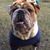 Judy Ganoe's profile image