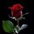 Lourdes Vaca's profile image