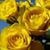 Debbie Laughlin Heyne's profile image
