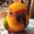 Kim Cav's profile image