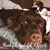 Dodie Leigh Cordwell's profile image