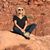 Debra Borrus McKean's profile image