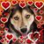 Dee Ann Locke's profile image
