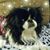 Vicki Martinez's profile image