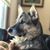 Dave Feiker's profile image